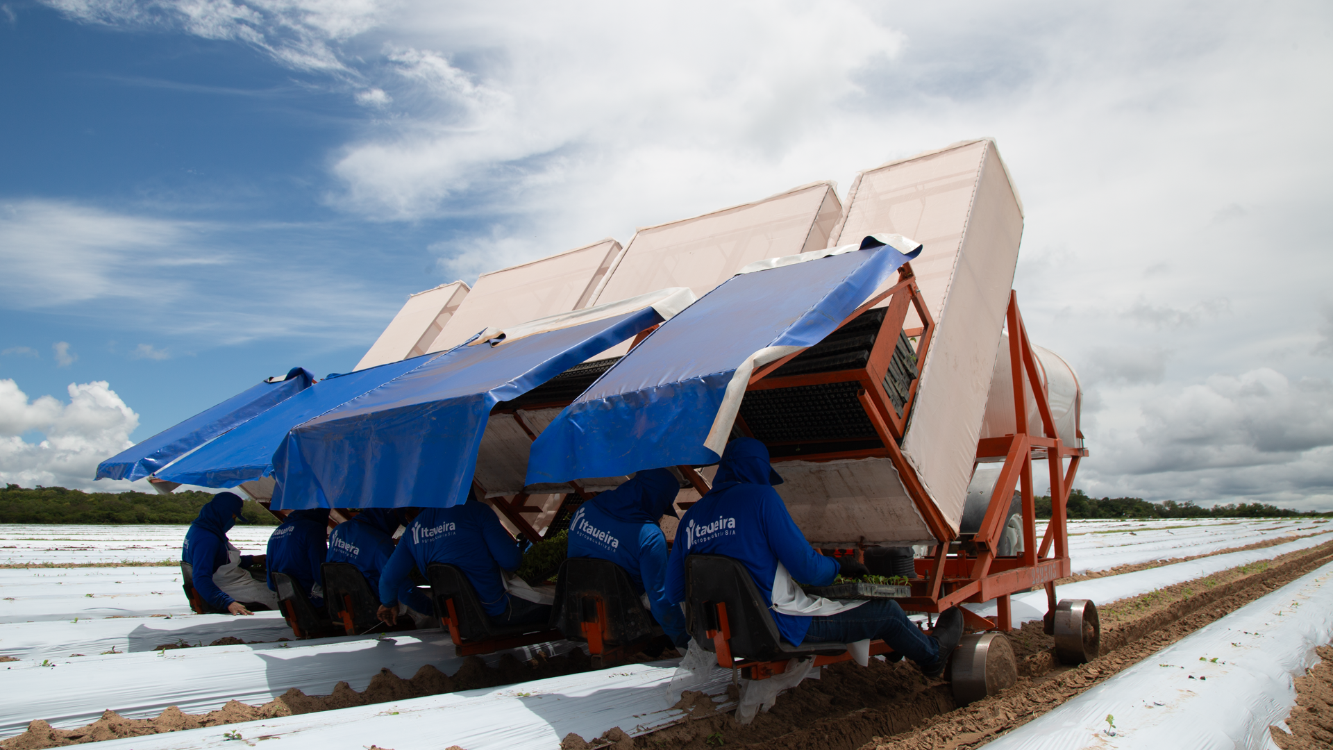 TRANSPLANTADEIRA 2 1920X1080.png